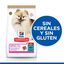 Hill's Small & Mini Adult Atum ração para cães, , large Indicador imagem número 4